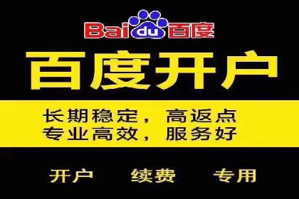 百度推广公司——大品牌背后的广告策略揭秘